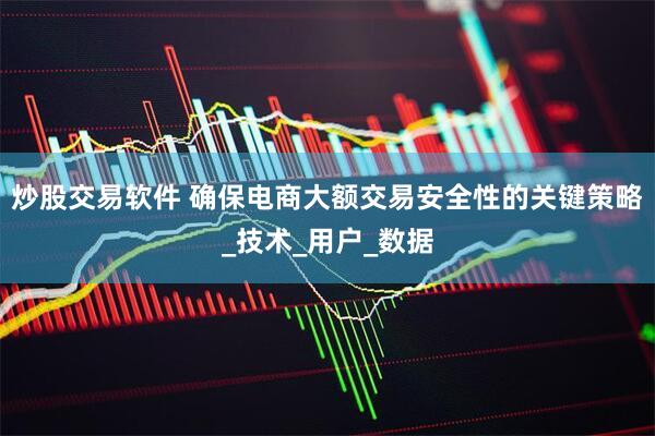 炒股交易软件 确保电商大额交易安全性的关键策略_技术_用户_数据